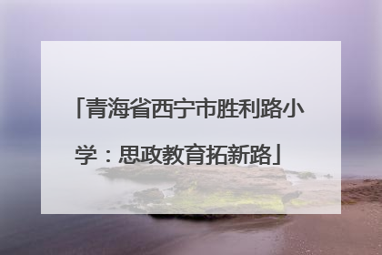 青海省西宁市胜利路小学：思政教育拓新路